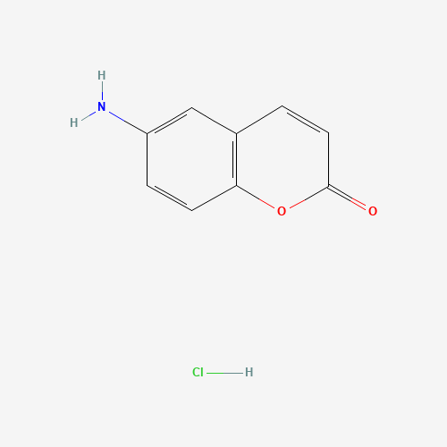 6-AMINOCOUMARIN HYDROCHLORIDE (CAS: 63989-79-7) - Related Chemical Product