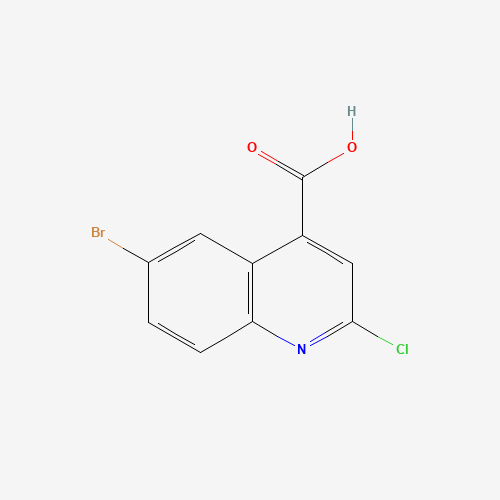 6-BROMO-2-CHLOROQUINOLINE-4-CARBOXYLIC ACID,97 (CAS: 287176-62-9) - Related Chemical Product