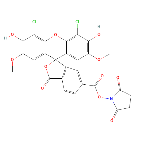 6-CARBOXY-4',5'-DICHLORO-2',7'-DIMETHOXYFLUORESCEIN,SUCCINIMIDYL ESTER (CAS: 113394-23-3) - Related Chemical Product