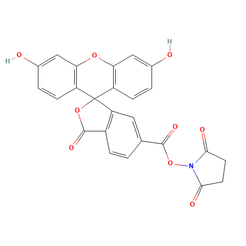 6-CARBOXYFLUORESCEIN N-SUCCINIMIDYL ESTER (CAS: 92557-81-8) - Related Chemical Product