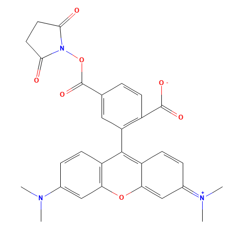 6-Carboxytetramethylrhodamine succinimidyl ester (CAS: 150810-69-8) - Related Chemical Product