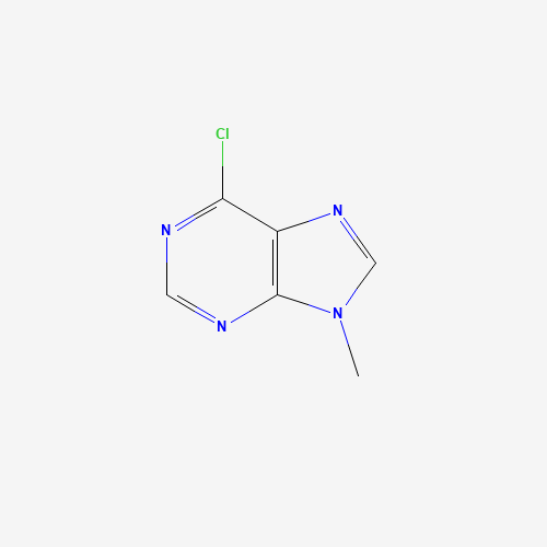 6-CHLORO-9-METHYLPURINE (CAS: 2346-74-9) - Related Chemical Product