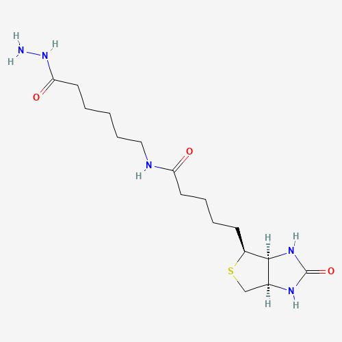 BIOTINAMIDOCAPROYL HYDRAZIDE (CAS: 109276-34-8) - Related Chemical Product