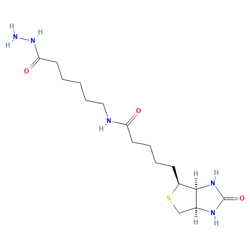 BIOTINAMIDOCAPROYL HYDRAZIDE (CAS: 109276-34-8) - Related Chemical Product