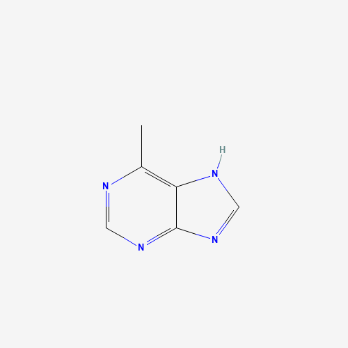6-Methylpurine (CAS: 2004-03-7) - Related Chemical Product