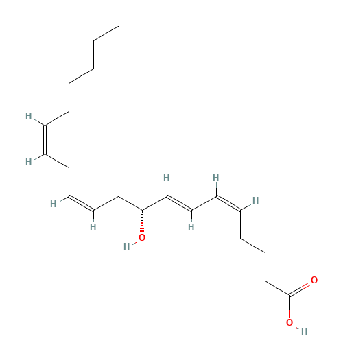 9(R)-HETE (CAS: 107656-14-4) - Related Chemical Product