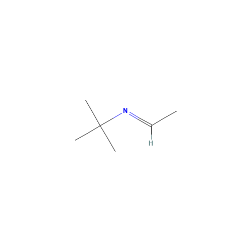 N-ETHYLIDENE TERT-BUTYLAMINE (CAS: 7020-80-6) - Related Chemical Product
