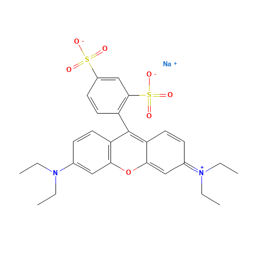SULFORHODAMINE B (CAS: 3520-42-1) - Related Chemical Product