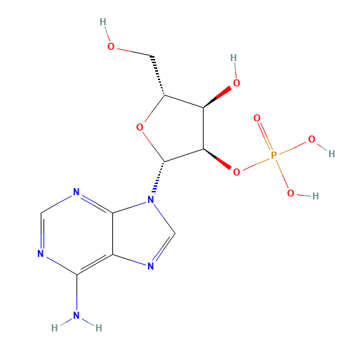 ADENOSINE 2'-3'-MONOPHOSPHATE FREE (CAS: 130-49-4) - Related Chemical Product