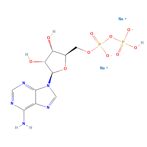Adenosine-5'-diphosphate disodium salt (CAS: 16178-48-6) - Related Chemical Product