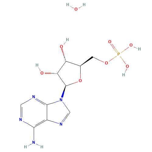 Adenosine 5'-monophosphate monohydrate (CAS: 18422-05-4) - Related Chemical Product