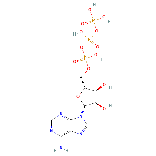 Adenosine triphosphate (CAS: 56-65-5) - Related Chemical Product