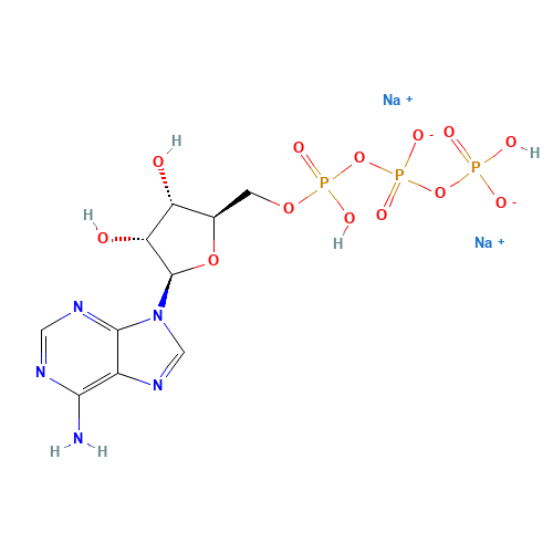 Adenosine 5'-triphosphate disodium salt (CAS: 987-65-5) - Related Chemical Product
