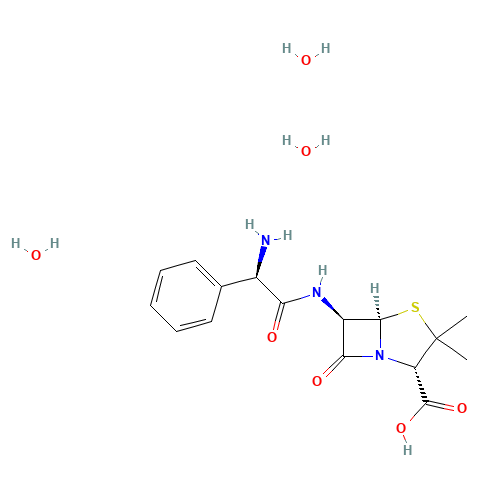 Ampicillin (CAS: 7177-48-2) - Related Chemical Product