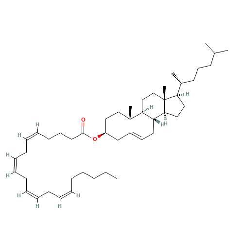 CHOLESTERYL ARACHIDONATE (CAS: 604-34-2) - Related Chemical Product