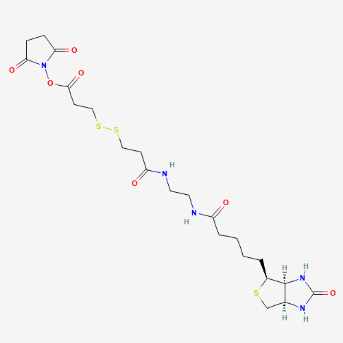 BIOTIN DISULFIDE N-HYDROXY-SUCCINIMIDE ESTER (CAS: 142439-92-7) - Related Chemical Product