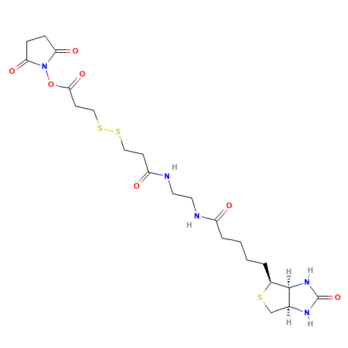 BIOTIN DISULFIDE N-HYDROXY-SUCCINIMIDE ESTER (CAS: 142439-92-7) - Chemical Structure and Molecular Formula 