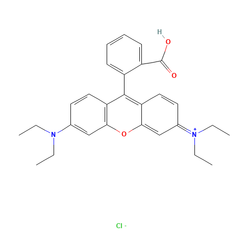 Rhodamine B (CAS: 81-88-9) - Related Chemical Product