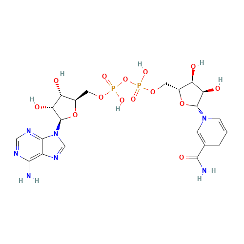 Reduced codehydrase I (CAS: 58-68-4) - Related Chemical Product