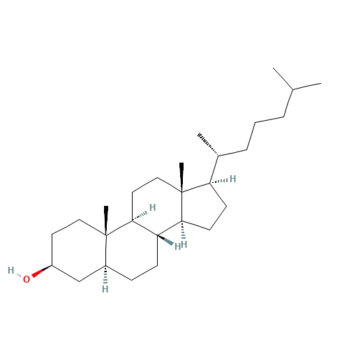 Dihydrocholesterol (CAS: 80-97-7) - Related Chemical Product