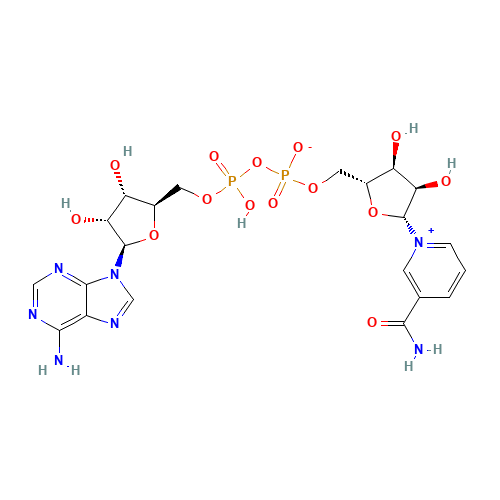 FT-0622904 CAS:53-84-9 chemical structure