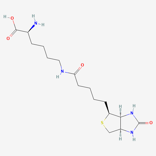 Biocytin (CAS: 576-19-2) - Related Chemical Product