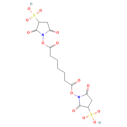BS3 (CAS: 215597-92-5) - Related Chemical Product