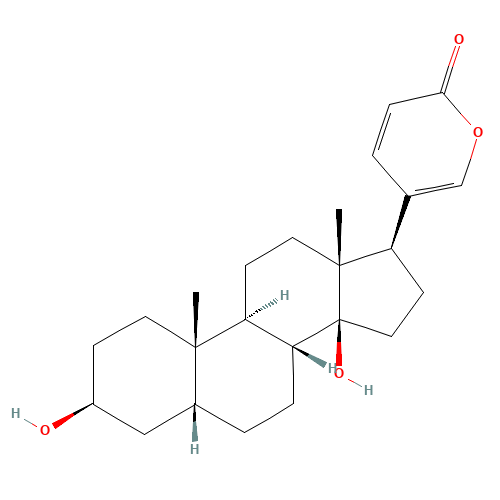 Bufalin (CAS: 465-21-4) - Related Chemical Product