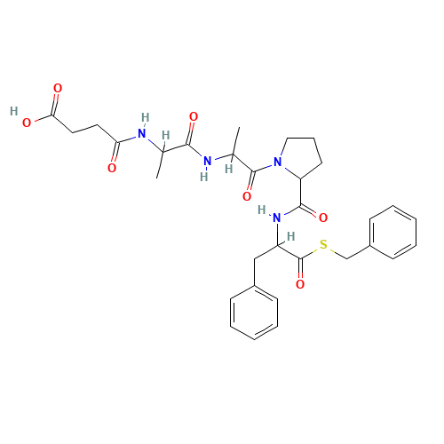 CARBOXYPEPTIDASE B (CAS: 9025-24-5) - Related Chemical Product
