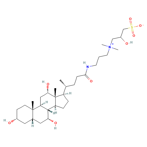 3-[(3-Cholamidopropyl)dimethylammonio]-2-hydroxy-1-propanesulfonate (CAS: 82473-24-3) - Related Chemical Product