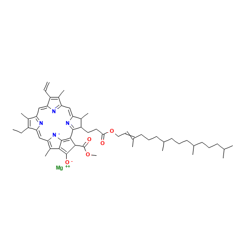 CHLOROPHYLL (CAS: 1406-65-1) - Related Chemical Product