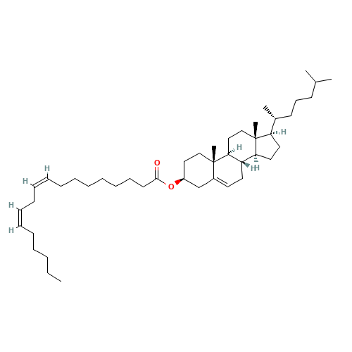 Cholesteryl linoleate (CAS: 604-33-1) - Related Chemical Product