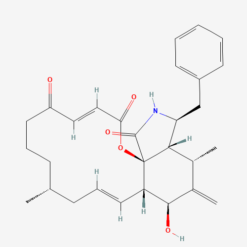 CYTOCHALASIN A (CAS: 14110-64-6) - Related Chemical Product