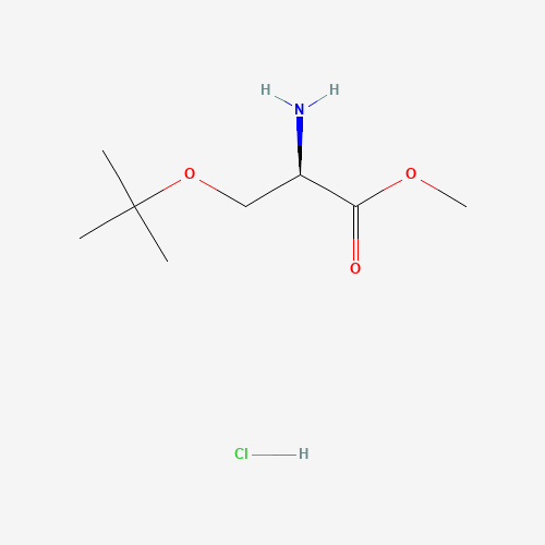 O-tert-Butyl-D-serine methyl ester hydrochloride (CAS: 78537-14-1) - Related Chemical Product