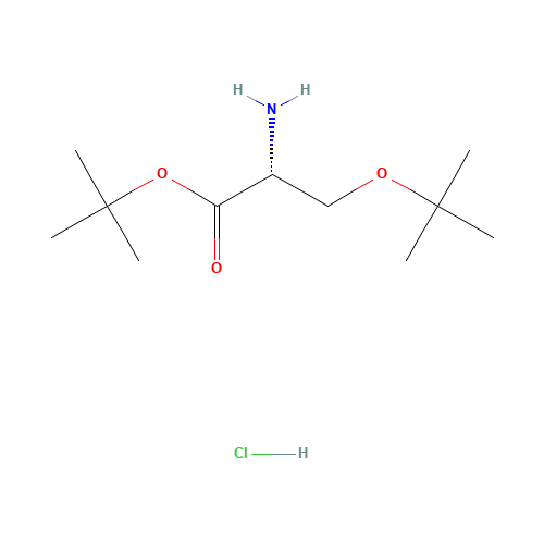 H-D-SER(TBU)-OTBU HCL (CAS: 179559-35-4) - Related Chemical Product