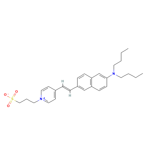 DI-4-ANEPPS (CAS: 90134-00-2) - Related Chemical Product