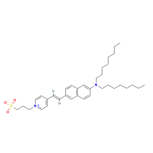 DI-8-ANEPPS (CAS: 157134-53-7) - Related Chemical Product