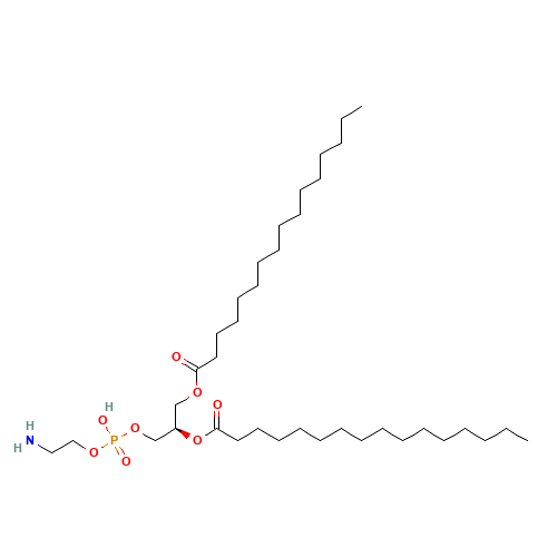 1,2-DIPALMITOYL-SN-GLYCERO-3-PHOSPHOETHANOLAMINE (CAS: 923-61-5) - Related Chemical Product