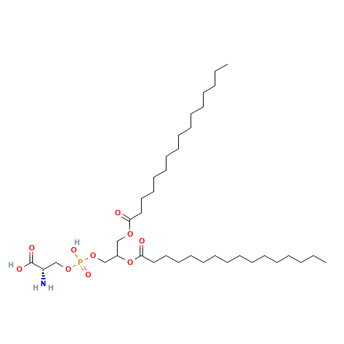 DL-a-Phosphatidyl-L-serine (CAS: 3036-82-6) - Related Chemical Product