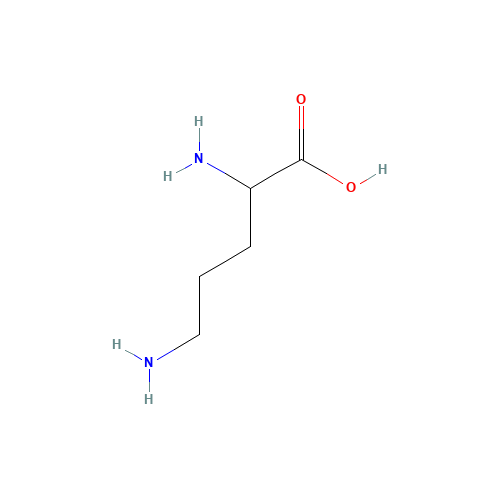 DL-ornithine (CAS: 616-07-9) - Related Chemical Product