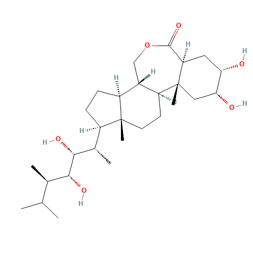 Epibrassinolide (CAS: 78821-43-9) - Related Chemical Product