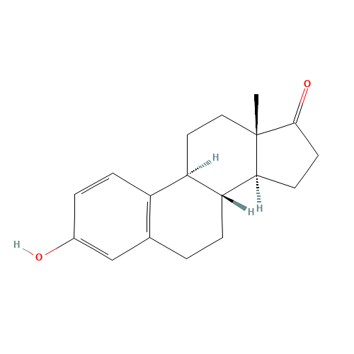 1,3,5(10)-Estratrien-3-ol-17-one (CAS: 53-16-7) - Related Chemical Product