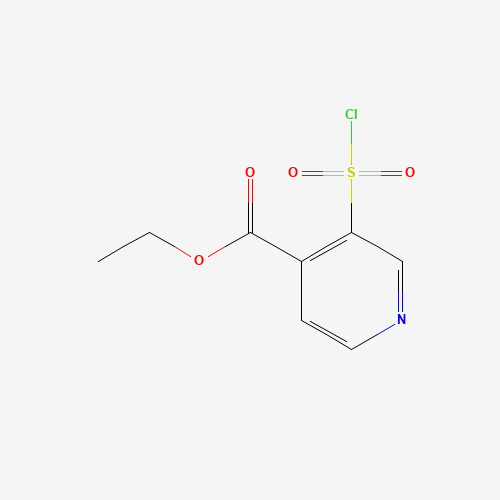 ETHYL 3-(CHLOROSULFONYL)ISONICOTINATE (CAS: 306936-12-9) - Related Chemical Product