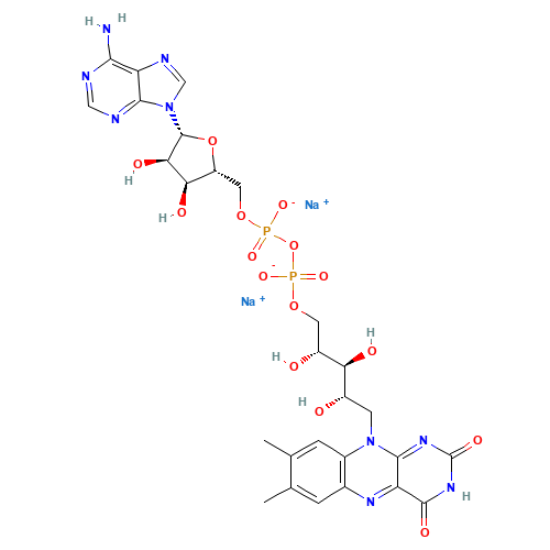 Flavin adenine dinucleotide disodium salt (CAS: 84366-81-4) - Related Chemical Product