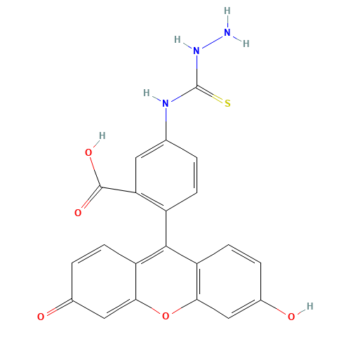 FLUORESCEIN-5-THIOSEMICARBAZIDE (CAS: 76863-28-0) - Related Chemical Product