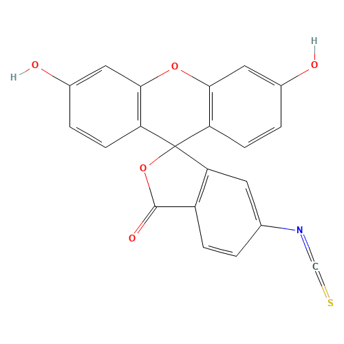 Fluorescein 6-isothiocyanate (CAS: 18861-78-4) - Related Chemical Product