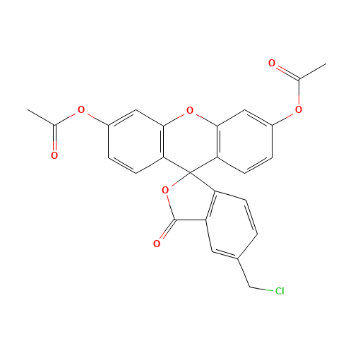 5-CHLOROMETHYLFLUORESCEIN DIACETATE (CAS: 136832-63-8) - Related Chemical Product