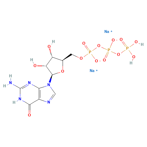 Guanosine-5'-triphosphoric aicd disodium salt (CAS: 56001-37-7) - Related Chemical Product