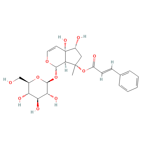 Harpagoside (CAS: 19210-12-9) - Chemical Structure and Molecular Formula 