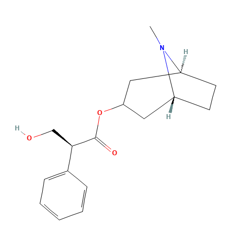 L-Hyoscyamine (CAS: 101-31-5) - Related Chemical Product